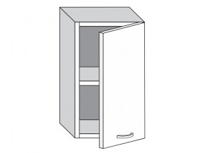 1.45.1 Шкаф настенный (h=720) на 450мм с 1-ой дверцей в Бакале - bakal.mebel74.com | фото
