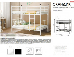 Кровать двухъярусная Скандик 42.20-01 в Бакале - bakal.mebel74.com | фото 2