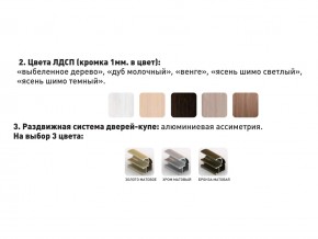 Шкаф-купе Акцент-Сим Д 1600-600 шимо светлый в Бакале - bakal.mebel74.com | фото 3