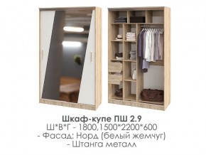 шкаф-купе ПШ-2.9 1500 Норд Белый жемчуг 1500 в Бакале - bakal.mebel74.com | фото