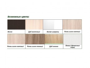 Шкаф-купе с фотопечатью 19 Хит 23-15-77 Дуб молочный в Бакале - bakal.mebel74.com | фото 2