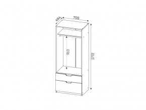 Шкаф с 2-мя ящиками ЛДСП Фаворит в Бакале - bakal.mebel74.com | фото 2