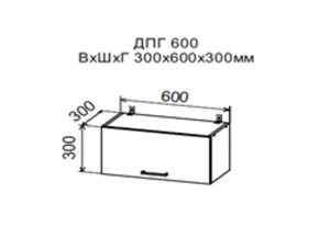 Шкаф верхний ДПГ600 горизонтальный в Бакале - bakal.mebel74.com | фото