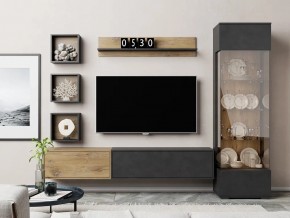 Тумба со откидной дверью Дакота ПМ-370.12 дуб флагстафф в Бакале - bakal.mebel74.com | фото 2